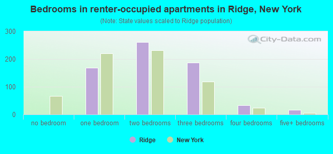 Bedrooms in renter-occupied apartments in Ridge, New York