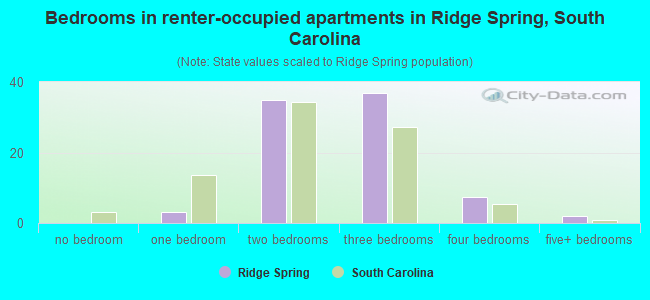 Bedrooms in renter-occupied apartments in Ridge Spring, South Carolina