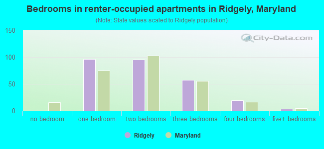 Bedrooms in renter-occupied apartments in Ridgely, Maryland