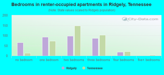 Bedrooms in renter-occupied apartments in Ridgely, Tennessee