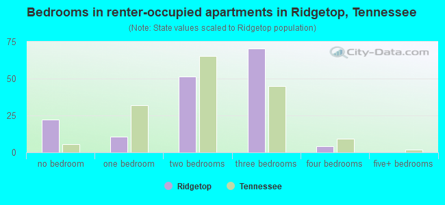 Bedrooms in renter-occupied apartments in Ridgetop, Tennessee