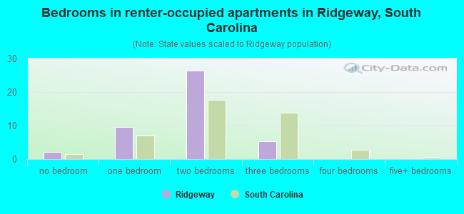 Bedrooms in renter-occupied apartments in Ridgeway, South Carolina