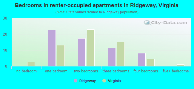Bedrooms in renter-occupied apartments in Ridgeway, Virginia