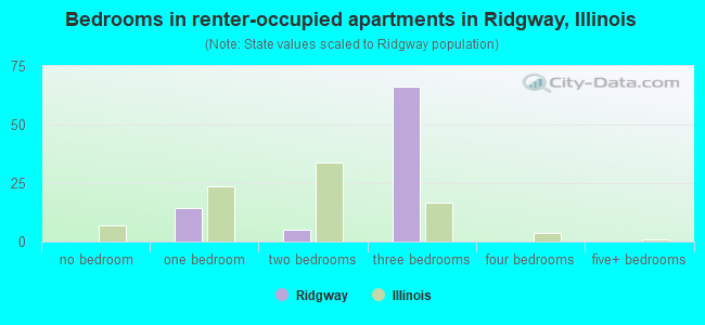 Bedrooms in renter-occupied apartments in Ridgway, Illinois