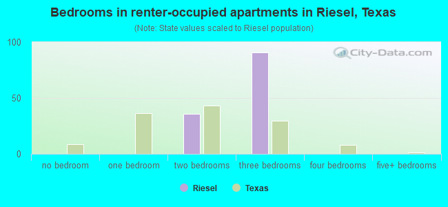 Bedrooms in renter-occupied apartments in Riesel, Texas