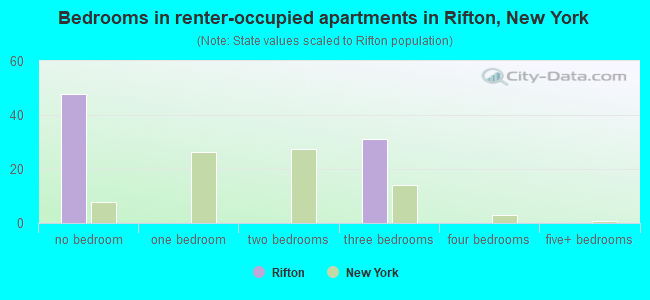 Bedrooms in renter-occupied apartments in Rifton, New York