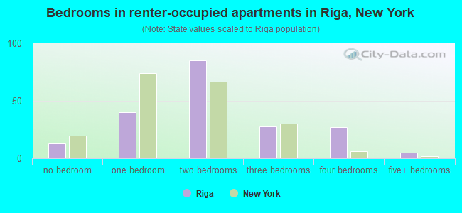 Bedrooms in renter-occupied apartments in Riga, New York