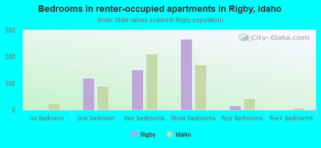 Bedrooms in renter-occupied apartments in Rigby, Idaho