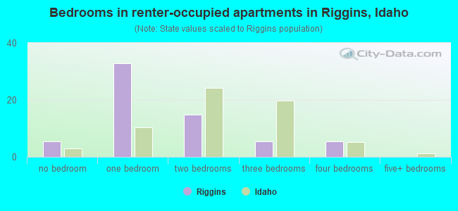 Bedrooms in renter-occupied apartments in Riggins, Idaho