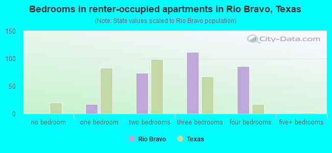 Bedrooms in renter-occupied apartments in Rio Bravo, Texas