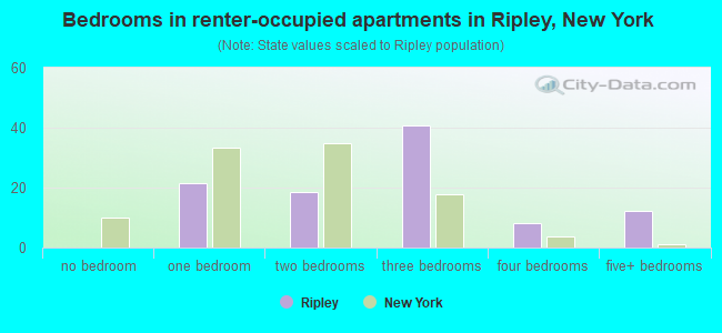 Bedrooms in renter-occupied apartments in Ripley, New York