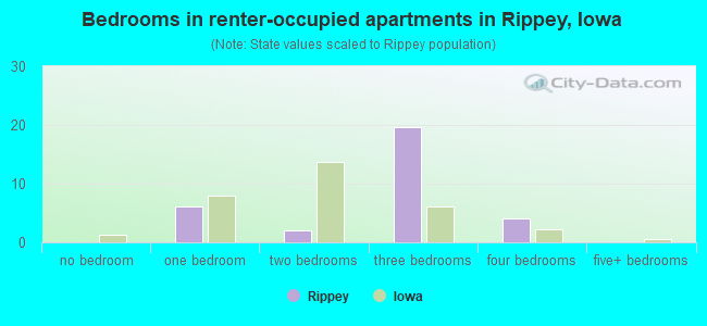 Bedrooms in renter-occupied apartments in Rippey, Iowa