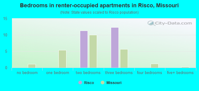 Bedrooms in renter-occupied apartments in Risco, Missouri