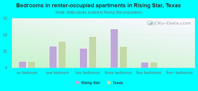 Bedrooms in renter-occupied apartments in Rising Star, Texas