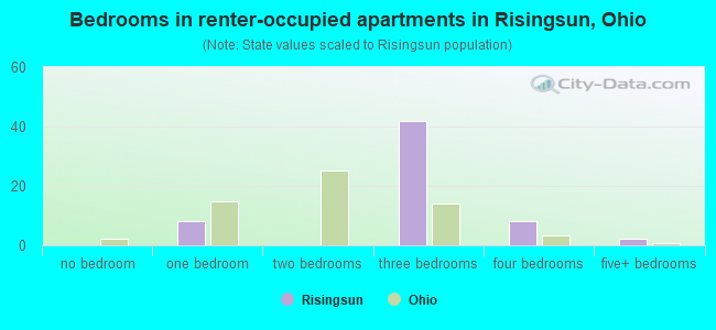 Bedrooms in renter-occupied apartments in Risingsun, Ohio