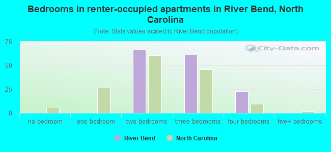 Bedrooms in renter-occupied apartments in River Bend, North Carolina