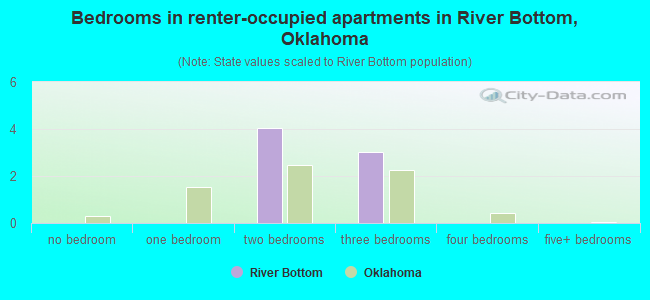 Bedrooms in renter-occupied apartments in River Bottom, Oklahoma