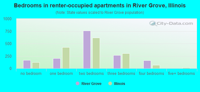 Bedrooms in renter-occupied apartments in River Grove, Illinois