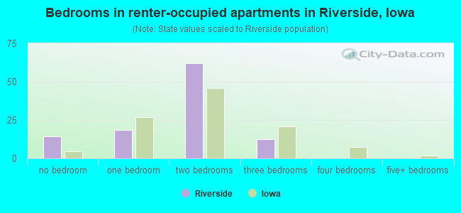 Bedrooms in renter-occupied apartments in Riverside, Iowa