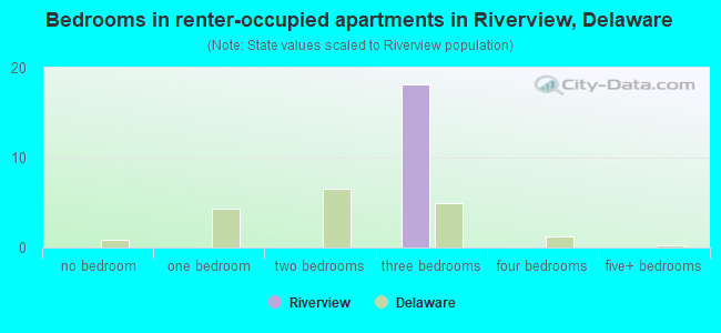 Bedrooms in renter-occupied apartments in Riverview, Delaware