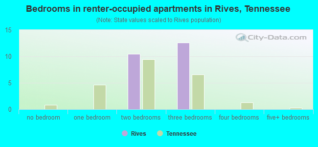 Bedrooms in renter-occupied apartments in Rives, Tennessee