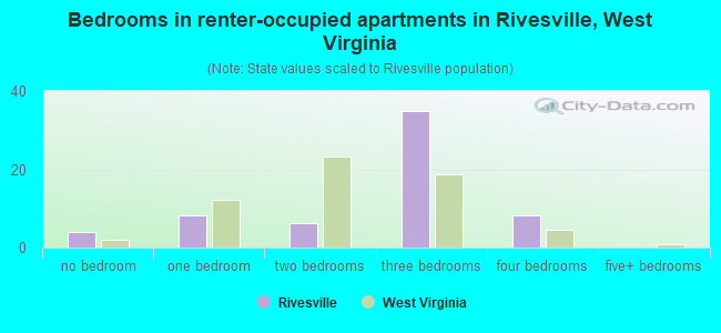 Bedrooms in renter-occupied apartments in Rivesville, West Virginia