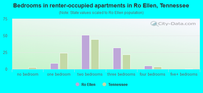 Bedrooms in renter-occupied apartments in Ro Ellen, Tennessee