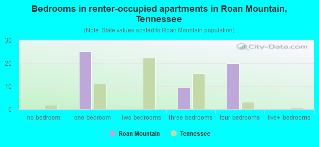 Bedrooms in renter-occupied apartments in Roan Mountain, Tennessee