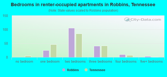 Bedrooms in renter-occupied apartments in Robbins, Tennessee