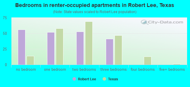 Bedrooms in renter-occupied apartments in Robert Lee, Texas