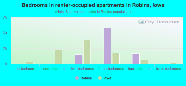 Bedrooms in renter-occupied apartments in Robins, Iowa