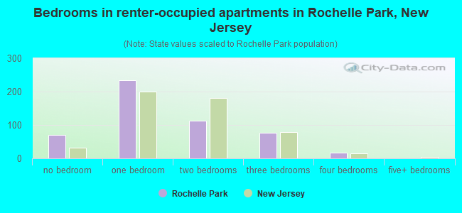 Bedrooms in renter-occupied apartments in Rochelle Park, New Jersey