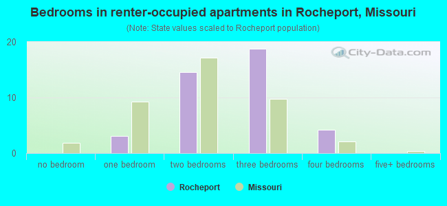 Bedrooms in renter-occupied apartments in Rocheport, Missouri