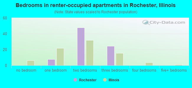 Bedrooms in renter-occupied apartments in Rochester, Illinois