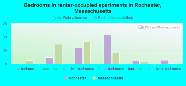 Bedrooms in renter-occupied apartments in Rochester, Massachusetts