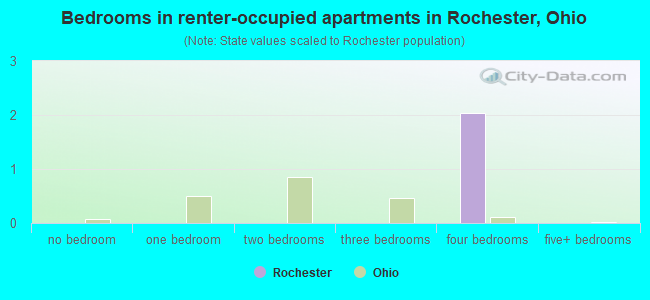 Bedrooms in renter-occupied apartments in Rochester, Ohio