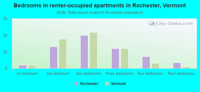 Bedrooms in renter-occupied apartments in Rochester, Vermont