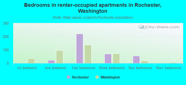 Bedrooms in renter-occupied apartments in Rochester, Washington