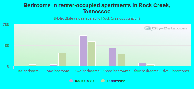 Bedrooms in renter-occupied apartments in Rock Creek, Tennessee