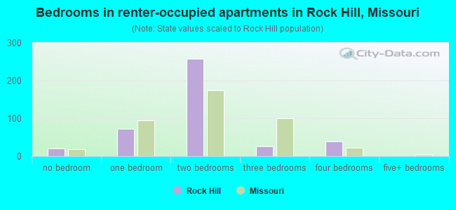 Bedrooms in renter-occupied apartments in Rock Hill, Missouri