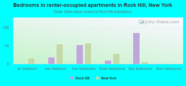 Bedrooms in renter-occupied apartments in Rock Hill, New York