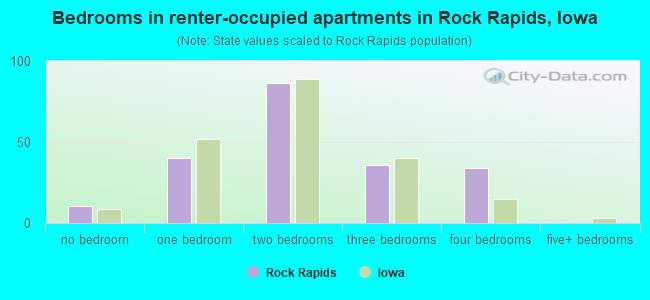 Bedrooms in renter-occupied apartments in Rock Rapids, Iowa