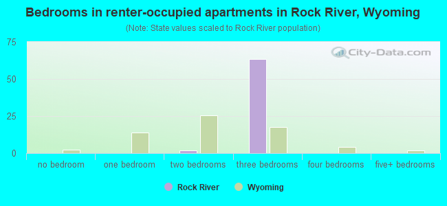 Bedrooms in renter-occupied apartments in Rock River, Wyoming