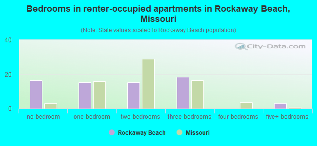 Bedrooms in renter-occupied apartments in Rockaway Beach, Missouri