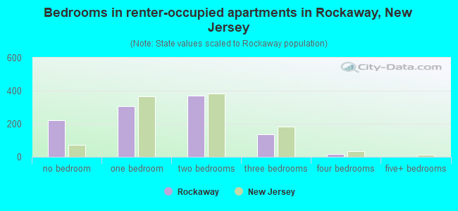 Bedrooms in renter-occupied apartments in Rockaway, New Jersey