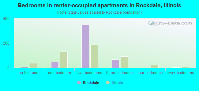 Bedrooms in renter-occupied apartments in Rockdale, Illinois