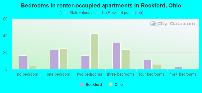 Bedrooms in renter-occupied apartments in Rockford, Ohio