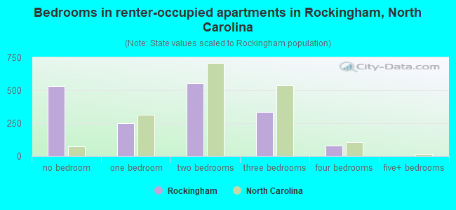 Bedrooms in renter-occupied apartments in Rockingham, North Carolina