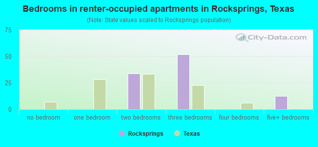 Bedrooms in renter-occupied apartments in Rocksprings, Texas