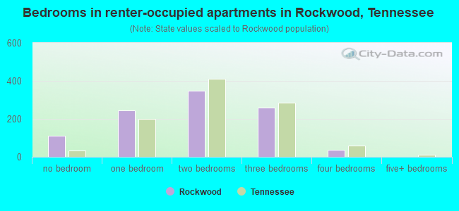 Bedrooms in renter-occupied apartments in Rockwood, Tennessee
